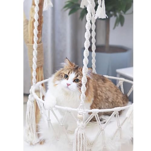 Cat Tree Cat Tree Hammock Enclosed Bed Scratching Post Suitable for Indoor Cats Climbing Playing Resting