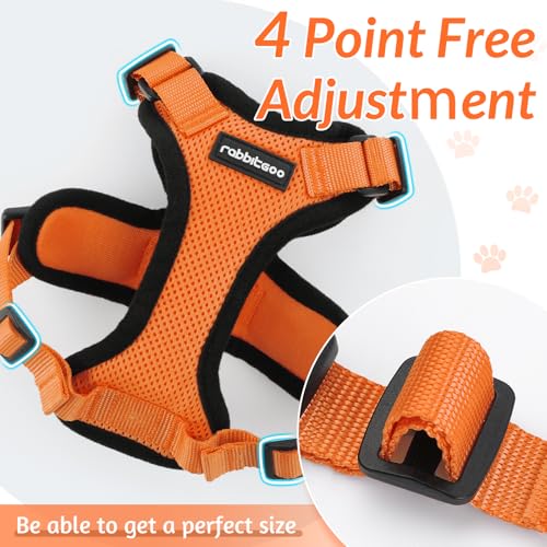 Cat Harness and Leash Set (Xs / Orange)