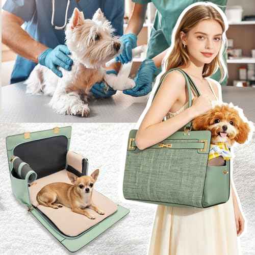 2-in-1 Stylish Dog Purse Carrier Soft-Sided Carriers Travel Tote Bag for Small Dogs Cats, Fashion Foldable Pet Bag for Puppies Small Animals with Pockets (Green, 15" L x 7.5" W x 12.2" H) (Green / 15" L x 7.5" W x 12.2" H)