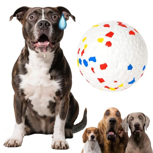Dog Ball 2.5 inch Dog Toy for Aggressive Chewers (White)
