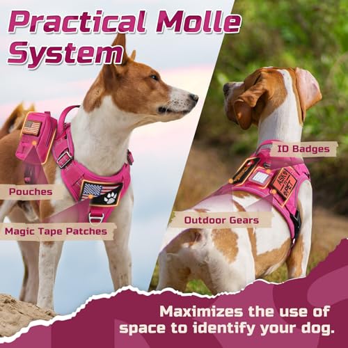 Tactical Dog Harness for Small (Rose Red / Small)