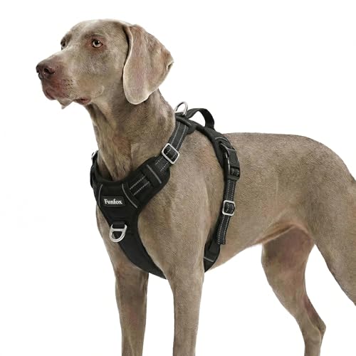 Dog Harness for X (Black / X-Large)