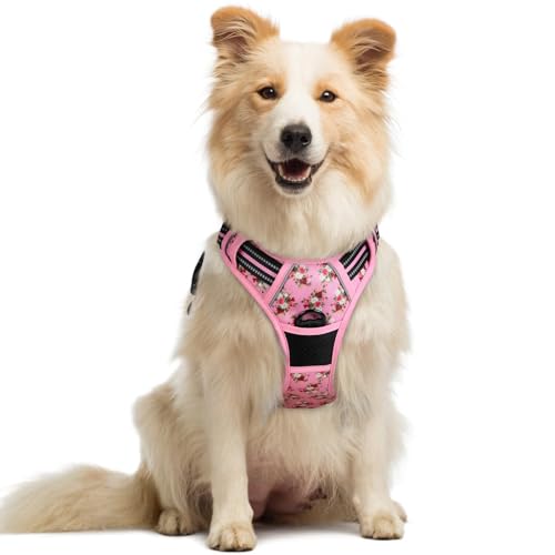 Dog Harness No Pull Medium Sized with 2 Leash Clips (Medium / Pink Rose)
