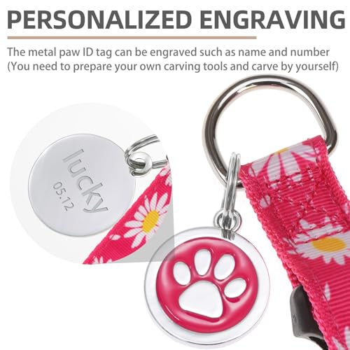 No Pull Dog Harness Medium Sized Step (Fuchsia(Daisy) / Medium)