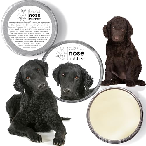 Curly Coat Retriever Unscented Nose Butter (Curly Coat Retriever / 1 Ounce)