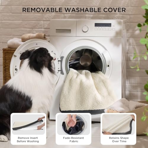 Small Dog Bed (24"L x 16"W x 3"Th / Grey)