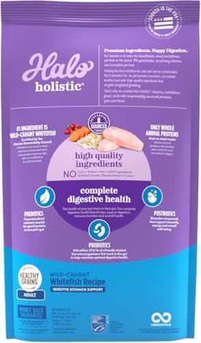 Holistic Dry Cat Food