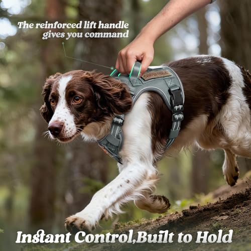 Tactical Dog Harness for Large Dogs (L(Chest:22"-37",Neck:21.1"-30.3",Back:8.3") / Grey)