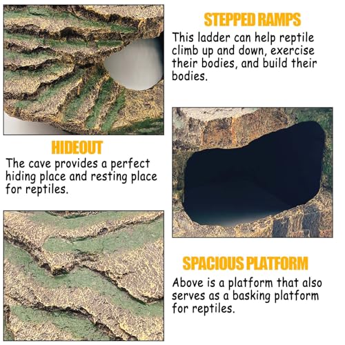 Medium Turtles Basking Platform