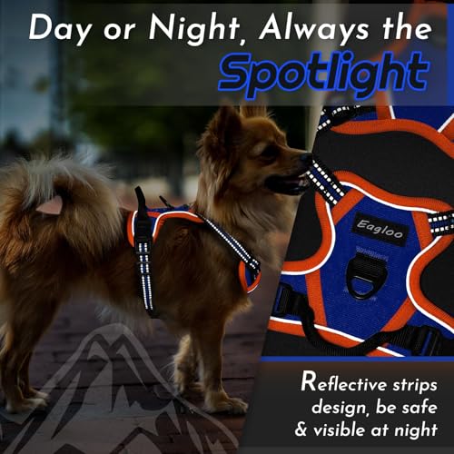 Dog Harness for Small Dogs (X-Small / Blue & Orange)