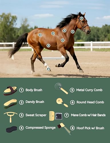 Horse Grooming Kit (Pasture Glow)
