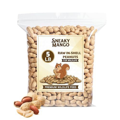 Raw Peanuts in Shell (5 Pound (Pack of 1))