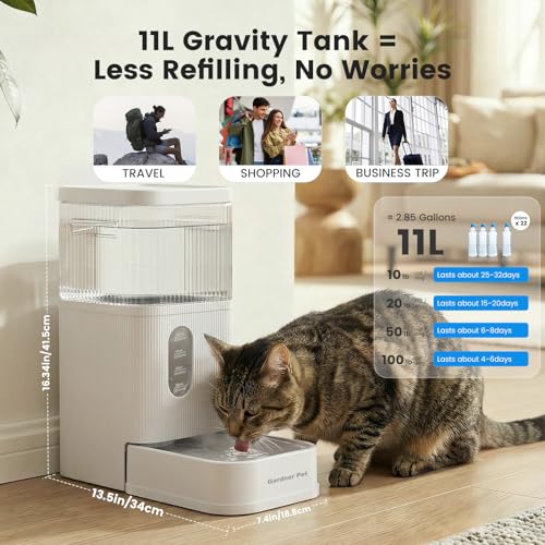 2.9 Gallon Automatic Dog Water Dispenser with Stainless Steel Bowl (White / 2.9 Gallon)