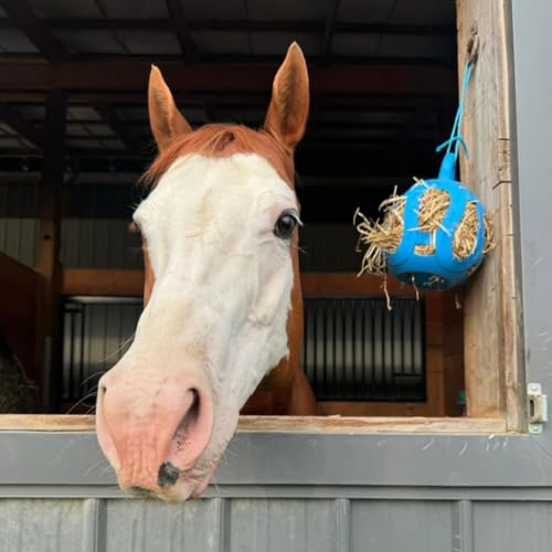 Horsemen's Pride Jolly Hay Ball Stall Toy for Horses (Blue / 8")