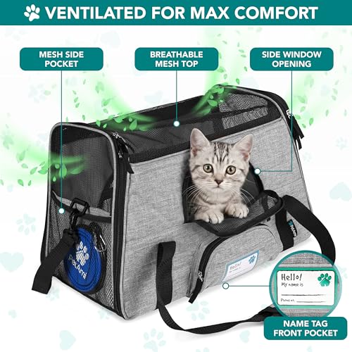 Airline Approved Pet Carrier for Cats Small Dogs (Heather Gray / 19.5"L x 10.2"W x 12.0"H)