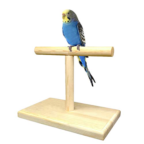Bird Training Stand