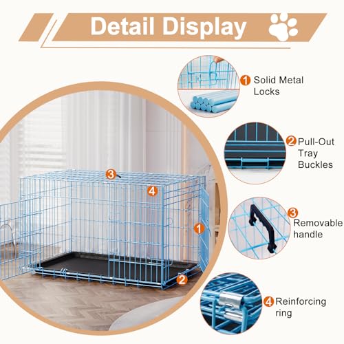 42" Foldable Metal Dog Crate (Blue)