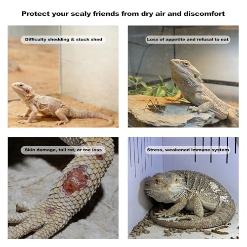 J&A Reptile Fogger