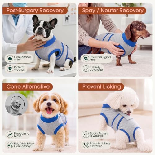 Recovery Suit for Dogs Cats (Large (Back:16.1-20.1'', Weight:23-48 Lb) / Gray Sapphire)