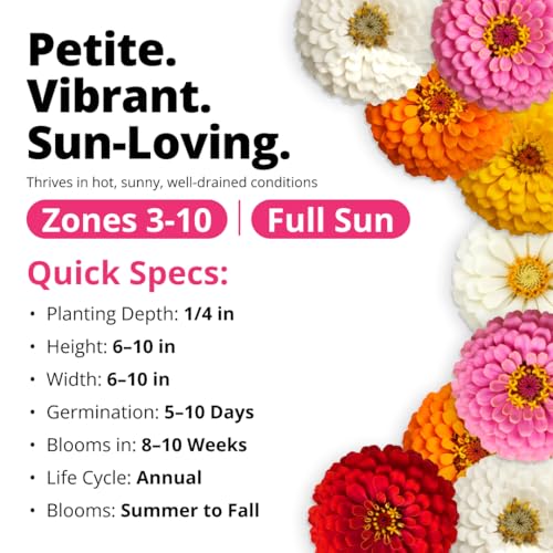 Zinnia Seeds Thumbelina