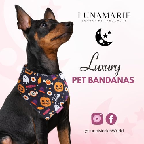 Luxury Cat and Dog Bandanas (Trick-Or-Treat / Small)