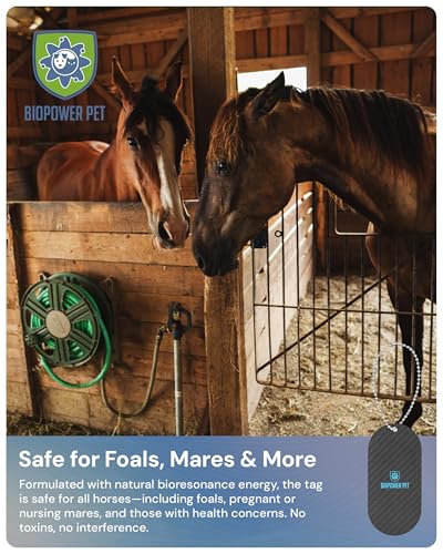 BioPower Natural Fly & Tick Repellent for Horses (Stall Tag)