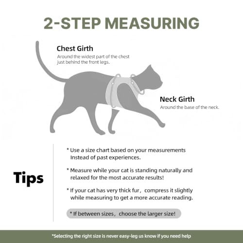 Cat Harness Leash Set with AirTag Holder (Green for Airtag / S)