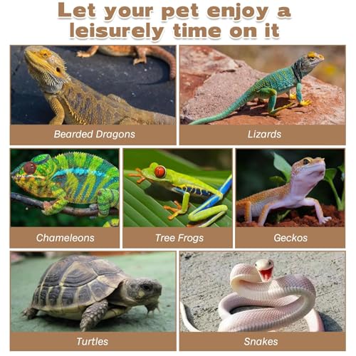Bearded Dragon Hammock