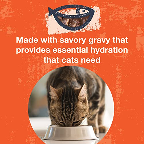 Poké Bowl Tuna & Chicken Entree in Gravy for Cats (3 Ounce (Pack of 12))