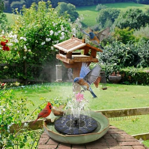 Solar Hummingbird Fountain (birdbathwithfundation)