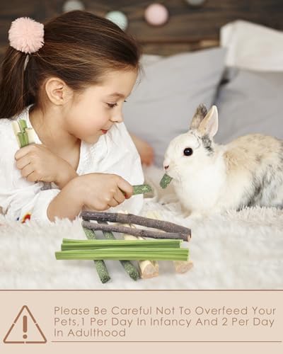 60PCS Rabbit Chew Sticks