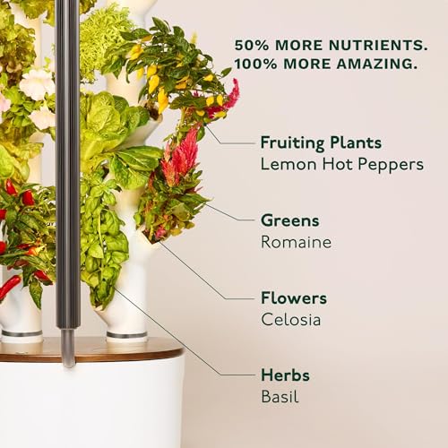 Studio 2 Hydroponics Growing System (GARDYN STUDIO 2)