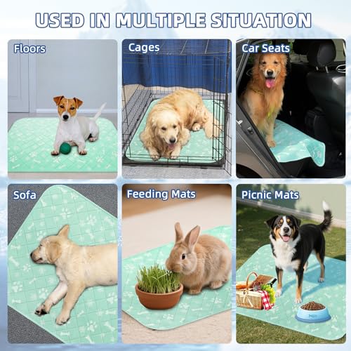 Self Cooling Mat for Dogs (X-Small 16IN x 20IN / Lake Green)