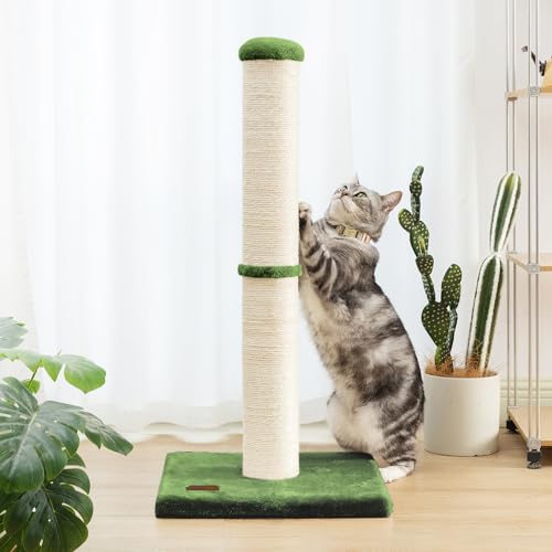 34" Tall Cat Scratching Post with Sisal Rope for Indoor Cats Green (Green)