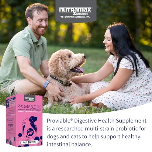 Proviable Probiotics + Prebiotics (80 Count)