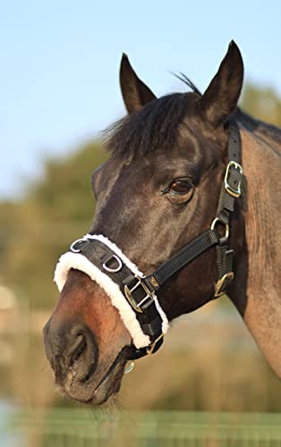 Lunge Cavesson with Fleece Lined Nose Band and Crown (Black / Cob)
