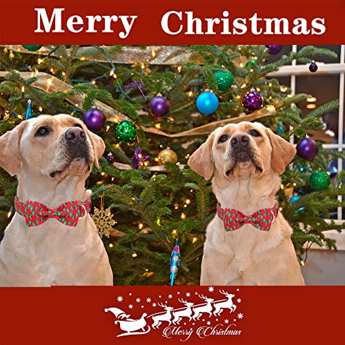 Christmas Dog Collar with Bow Best Winter for Small Medium Large Dogs (Large / Tree-Christmas)