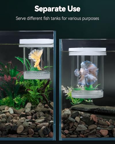 Breeder Box for Fish Tank (Medium)