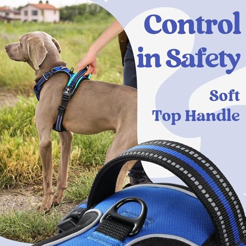 Dog Harness Small Sized (Small / Blue)