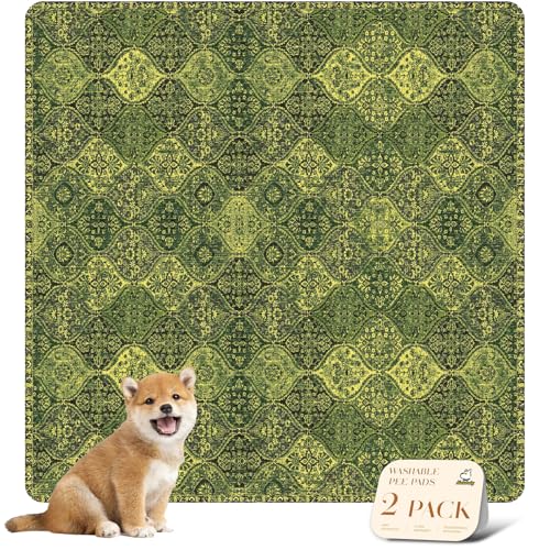 Washable Pee Pads for Dogs (36x36 Inch (Pack of 2) / Green/Multi)