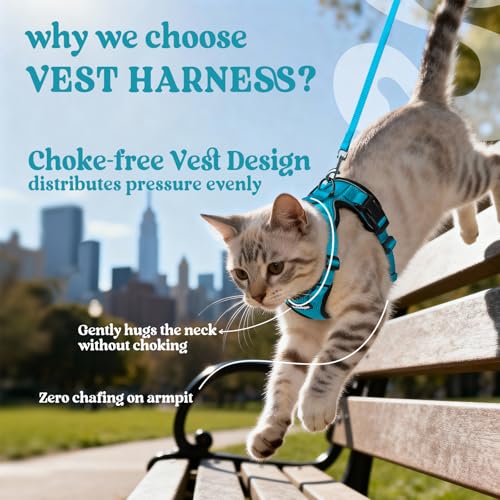 Cat Harness and Leash Set (S / Teal)