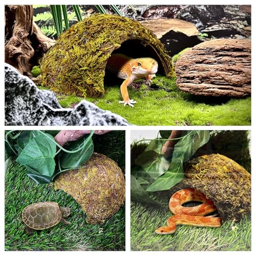 4 Pack Natural Green Moss Hermit Crab Hide Caves Coconut Reptile Hideouts (Moss Surface / 4 PCS)