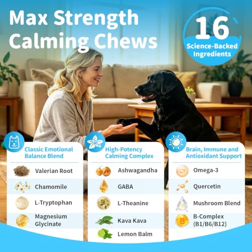Calming Chews for Dogs (90 Count_1)