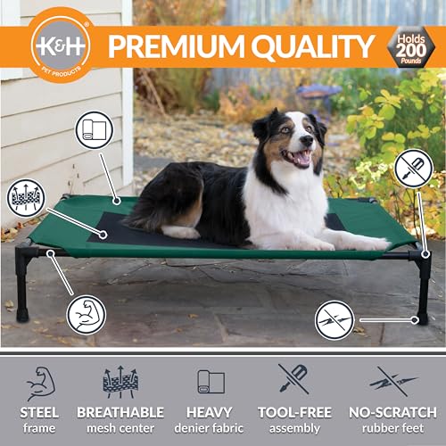 K&H Outdoor Elevated Dog Bed (Green/Black Mesh / Large 42"L x 30"W)