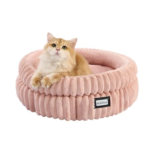 Cat Bed Kitten Bed (24.0"L x 24.0"W x 9"Th / Acorn Pink)