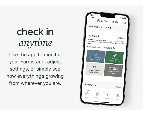 Farmstand Outdoor Starter Kit (36 Seedlings / Outdoor With Seedlings)