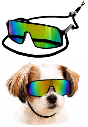 G029 Small Dog Breed 8 (S, 8-18lbs, Sport Turbo Black-rainbow mirror)