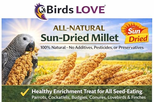 1 LB Wholesome Spray Millet for Birds (1 Pound (Pack of 1))