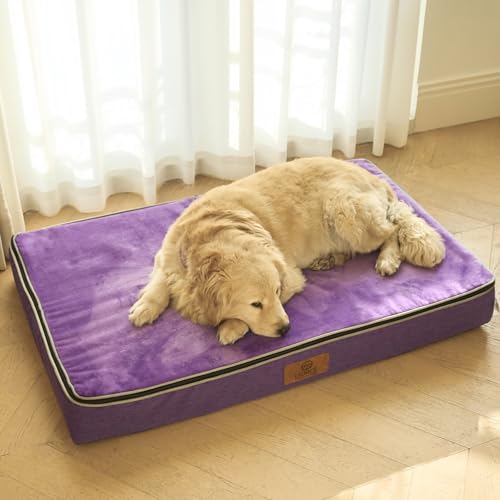 Orthopedic Memory Foam XXL Dog Bed (48.0"L x 30.0"W x 6.0"Th / Purple)