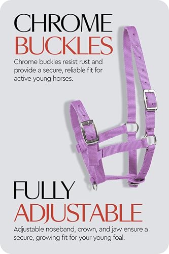 Adjustable Mini Horse Halter (Purple / Foal)